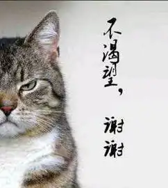 你渴望力量吗表情包
