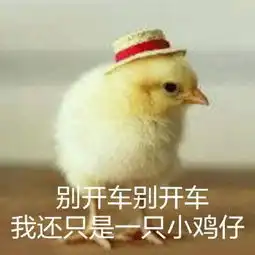 绝育路表情包生日祝福