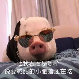 蓉李记2019猪事皆宜春季指南
