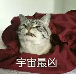 你凶我表情包
