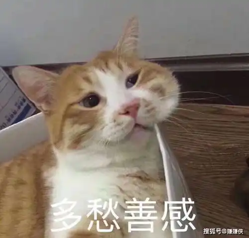 污污表情包图片昨晚你很棒,钱在桌上,我先走了
