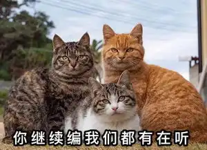 佟丽娅红毯再也不用全身擦粉翻车了20分秒变白黑科技有用吗
