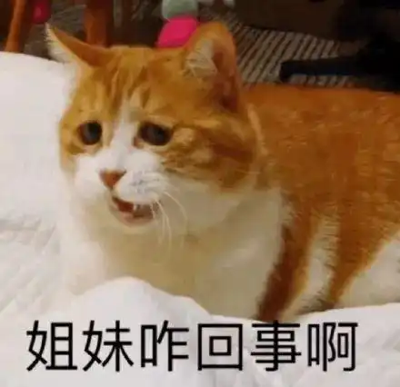 2019秋日高级妆容,可要大橘为重
