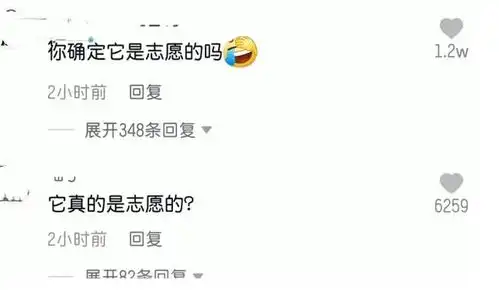 兽医老师用志愿狗进行穴位讲解,学生看了眼汪后表情也太真实了

