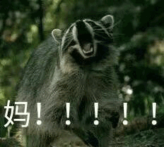 你们要的无水印喊妈喊爸喊儿砸的表情包都在这儿了

