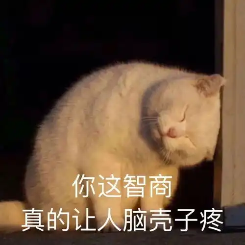 更累了
