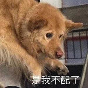 表情包请接收好运和爱的疯狂轰炸吧
