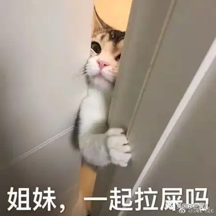 把厕所设计成这样是什么鬼脑回路我还是憋死算了
