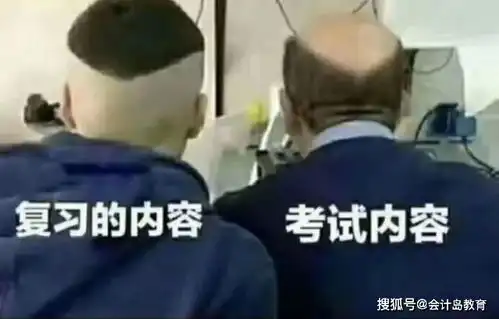 我想说今年的审计特别难不知道恰不恰当
