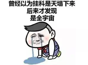 不挂科的大学是不完美的
