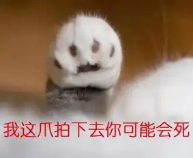 可爱猫猫斗图表情
