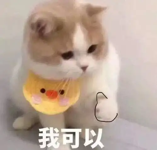 美妆ufo丨彩妆x美食红酒奶茶牛油果,我的钱包请你拿走
