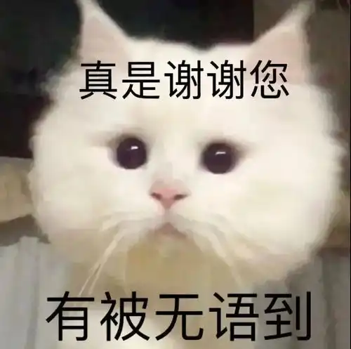 表情包我只想做你的舔狗
