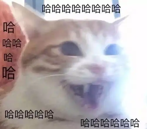 表情国内被嘲中年危机的标志物枸杞,竟成席卷欧美的神秘东方力量表情
