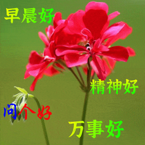 人的成长,在于学习也在于经历人的修养,在于领悟也在于静修生活
