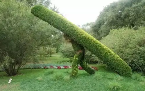 你从未见过的全球最牛植物园,服了
