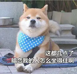 柴犬土味情话表情包合集你知道我的缺点是什么吗
