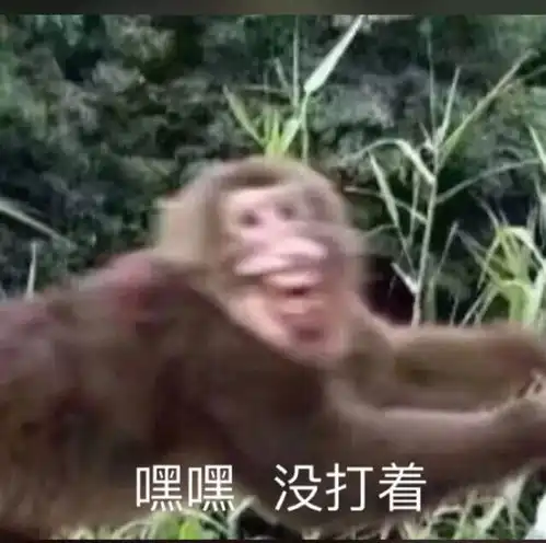 一些皮到挨打的就是玩
