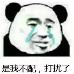 每日表情微信聊天斗图