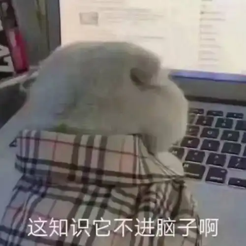 初试252,管综181,人大图情已上岸,超详尽管理类联考经验贴
