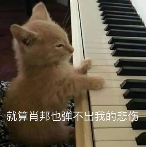 日常实用表情包

