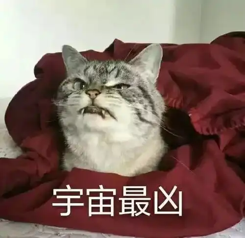 承认整形的网红,除了滕雨佳还有谁
