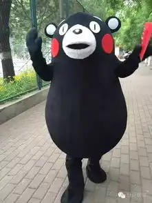熊本林大表情包之旅附赠一夜暴富秘籍
