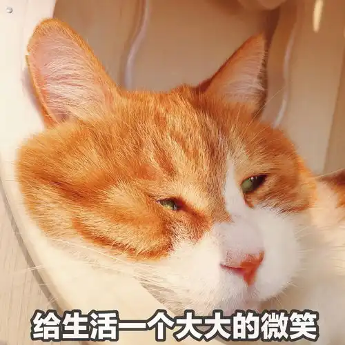 小楼酱日常
