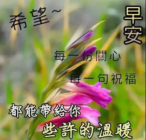早上好最新高清图片祝福语,聊天早上好问候表情包文字精选
