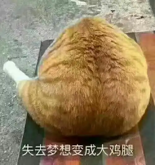 如何评价北京邮电大学2017级大一上学期计算机导论与程序设计期末考试
