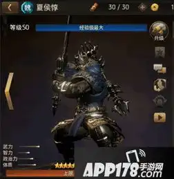 三国诛将录夏侯惇厉害吗三国诛将录夏侯惇属性一览
