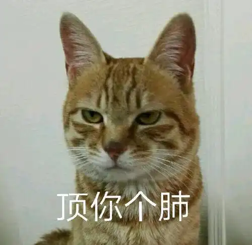 可以分享一些高端骂人的表情包么
