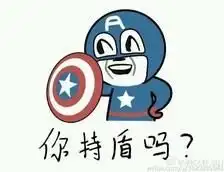 你持盾吗表情包
