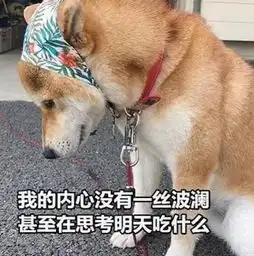 怼人很横的表情一首父亲送给你,希望能够感动你这个逆子
