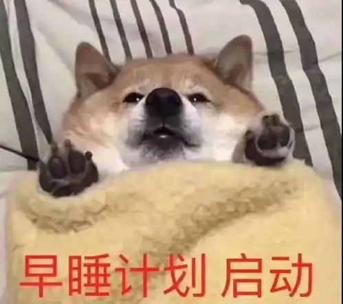 您的寒假攻略正在派件,请注意签收

