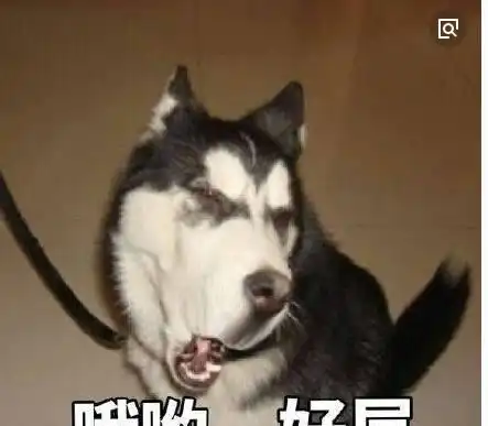 主人带二哈去做绝育,二哈挣扎中还不忘卖个萌不拆家了还不行吗
