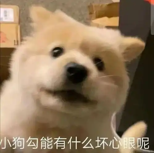 表情包动图站