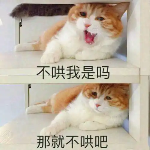2017表情盛典揭幕啦
