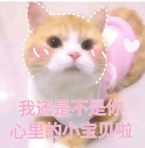 有没有撩人的表情包
