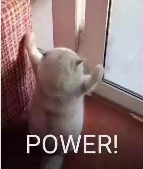 获得新生的力量

