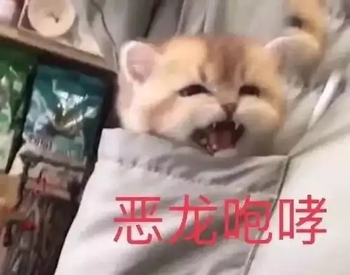 好兄弟双十一零点向喜欢的女生表白,结果...
