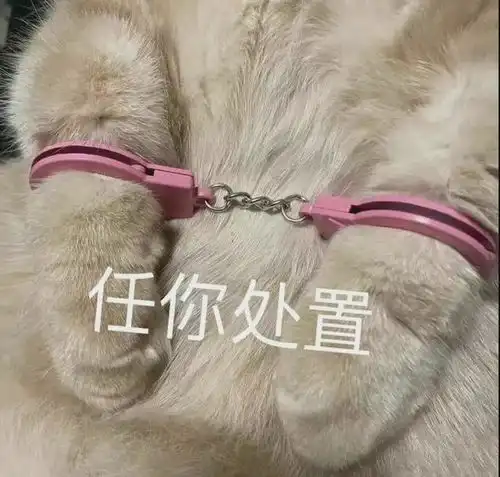表情包更新不好意思草率了猛女害羞表情包
