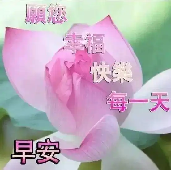 微信早上好祝福语图片带字温馨最新漂亮早上好问候动态图带字
