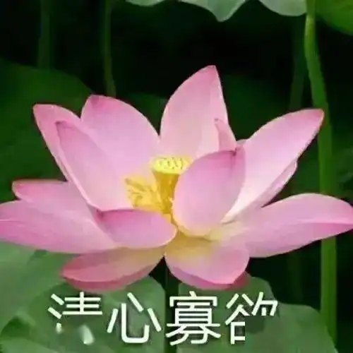 一些有趣好玩的搞怪头像
