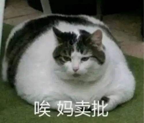吃瓜群众参与大妈与大妈之间的战斗
