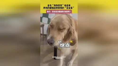 7月8日,江苏发布金毛狗狗祟祟地走来,养狗的都懂这种表情的含金量,狗子我说我没做错事...
