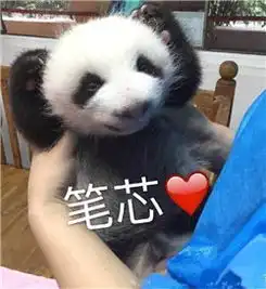 2016滚滚最萌瞬间小编喊你来收图啦
