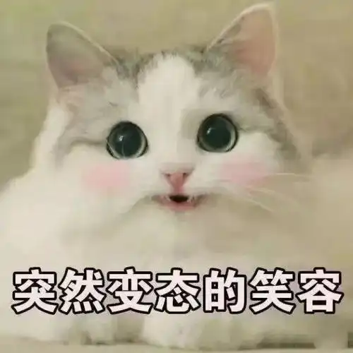 千万不要找一个摄影师当女朋友
