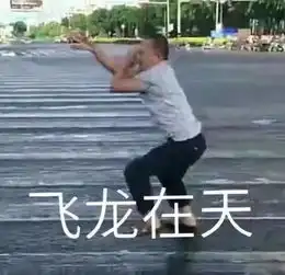 不如跳舞海口这大叔要火了,一言不合就跳尬舞..