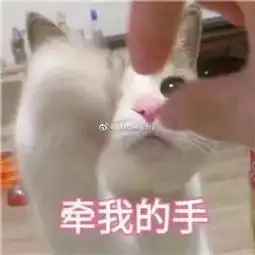 etincelanty的微博微博
